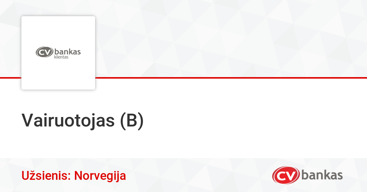 Vairuotojas (B) Užsienyje, Driver Martinonis | CVbankas.lt